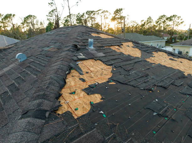 Best Roof Maintenance and Cleaning  in Midfield, AL